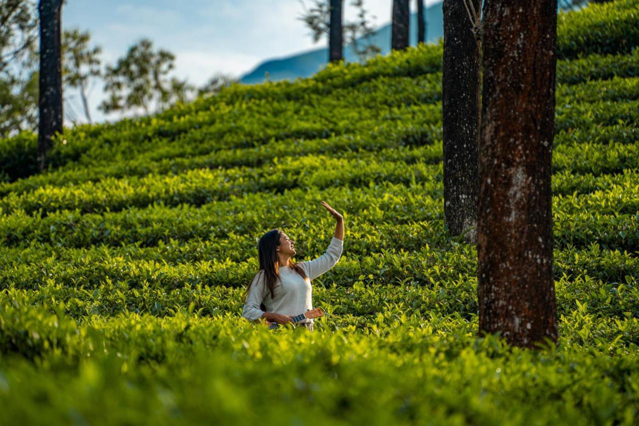 Zostel Plus Wayanad Kalpatta Buitenkant foto