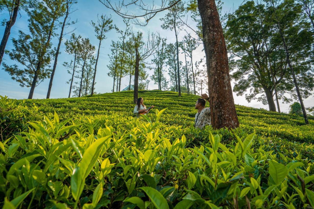 Zostel Plus Wayanad Kalpatta Buitenkant foto